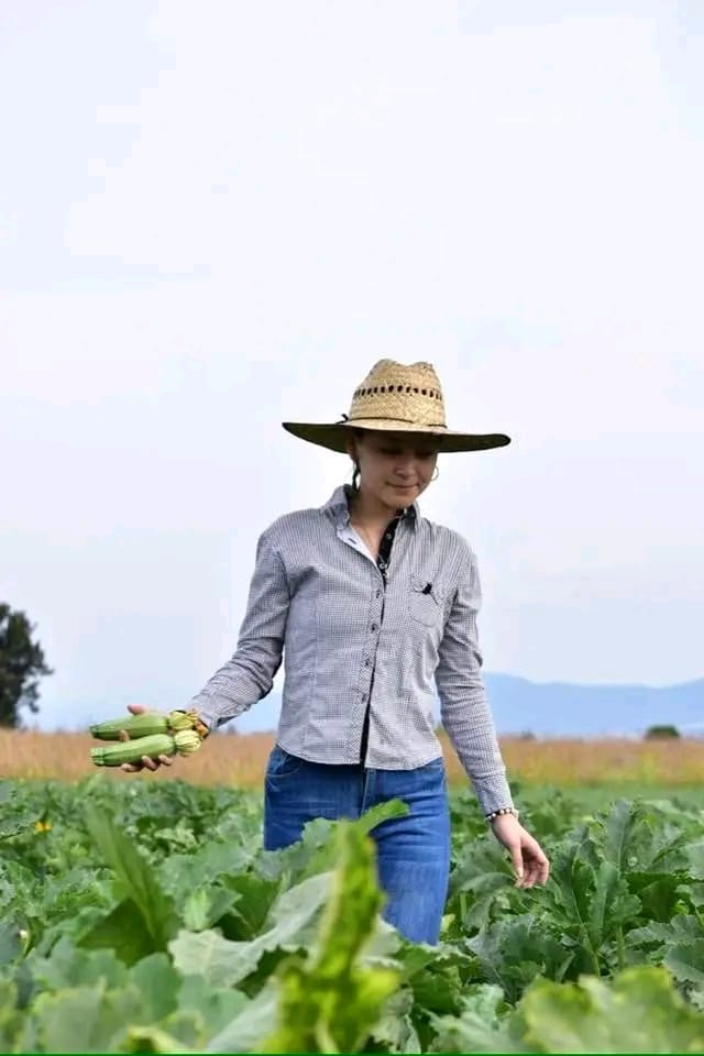 الماسة سيدز